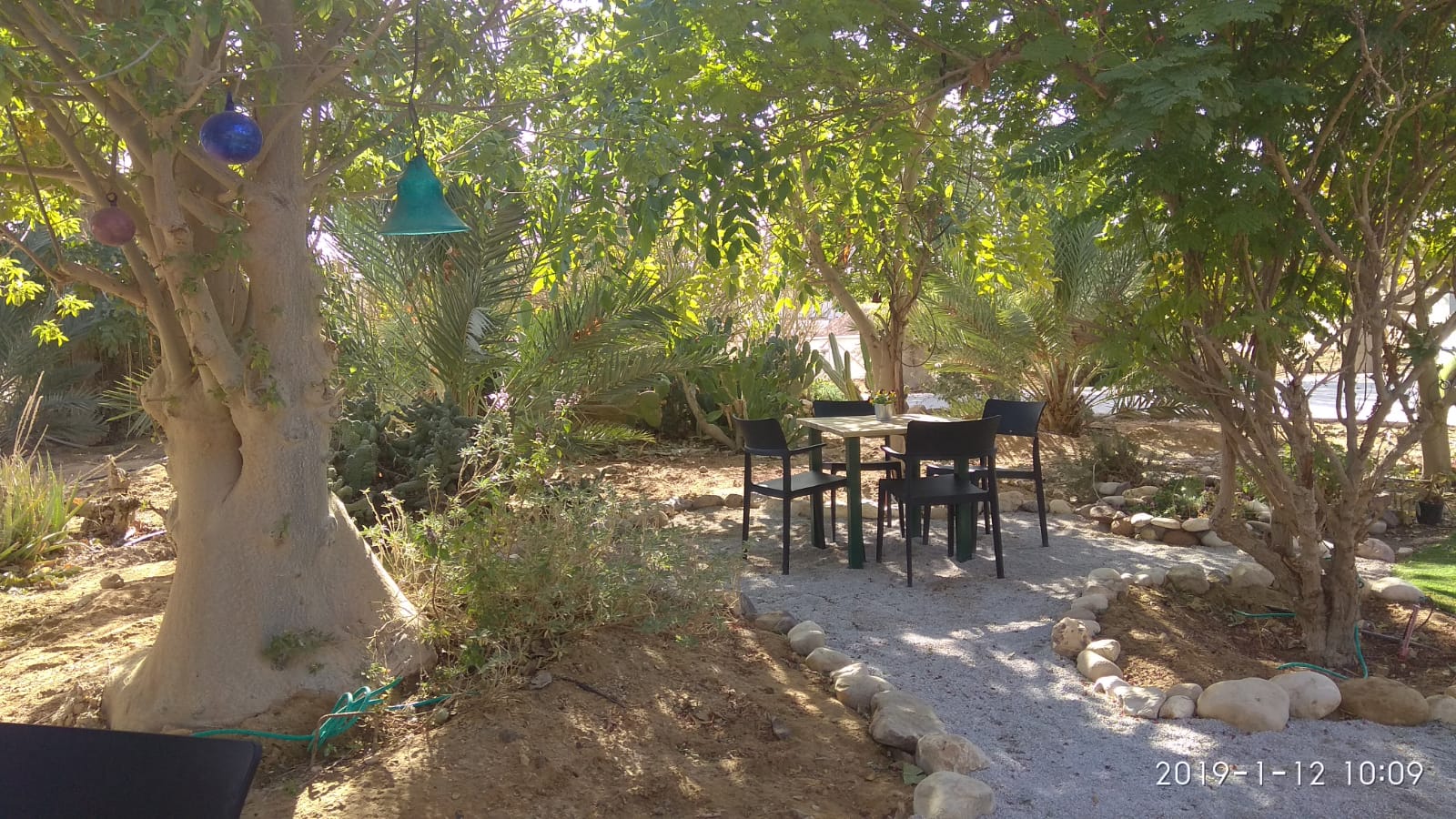 קפה סיגל 